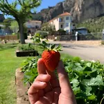 Hotel Boix De