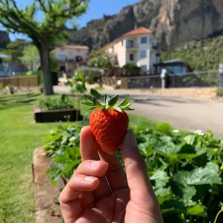 Hotel Boix De